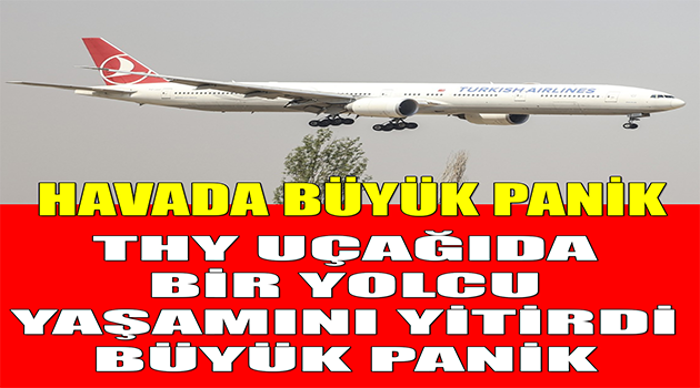Türk Hava Yolları Uçağı