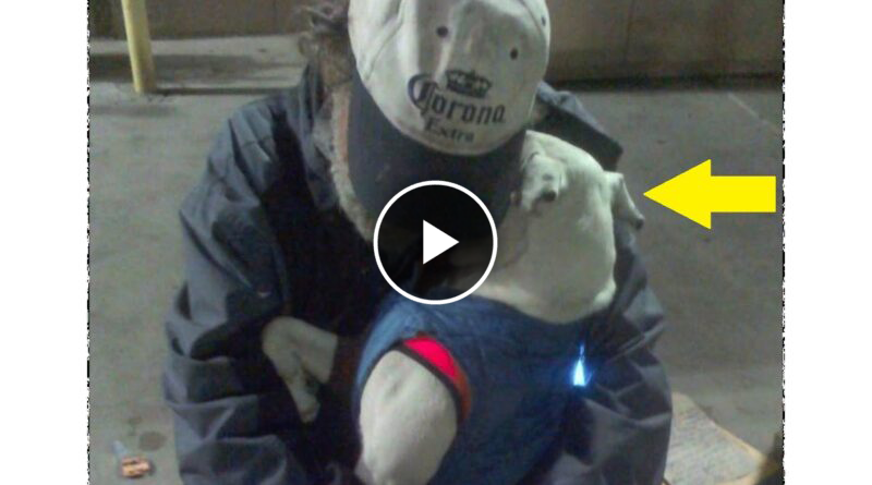 “Please adopt my dog!” The terminally ill homeless man hugged the dog tightly!