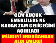 cem küçük